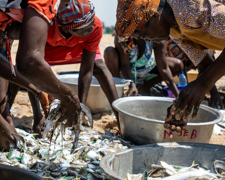 enterprise market activity summary